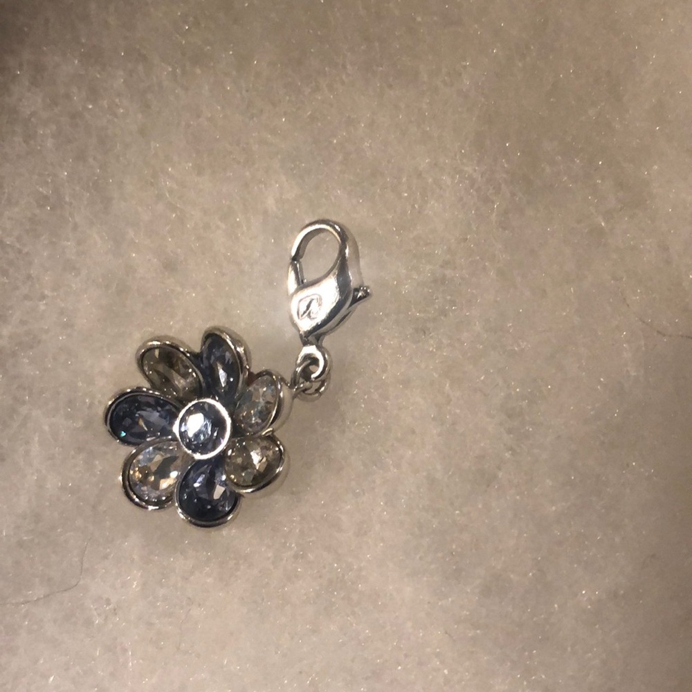 Swarovski Crystal Charm ✨✨